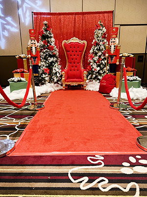 Christmas Display Rental