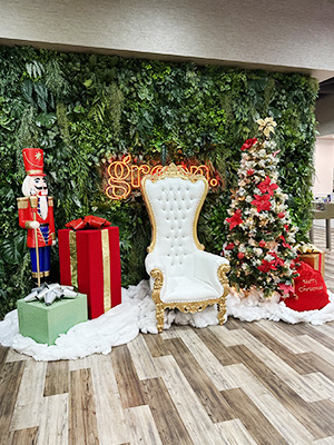 Christmas Display Rental