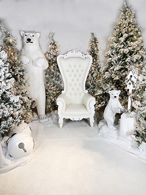 Throne Chair Rentals