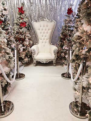 Christmas Display Rental