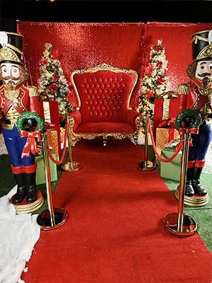 Christmas Display Rental