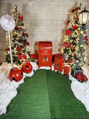 Christmas Display Rental