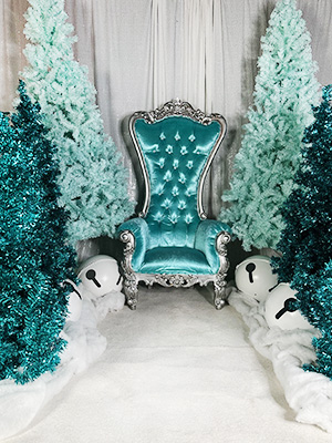 Christmas Display Rental