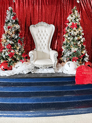 Christmas Display Rental