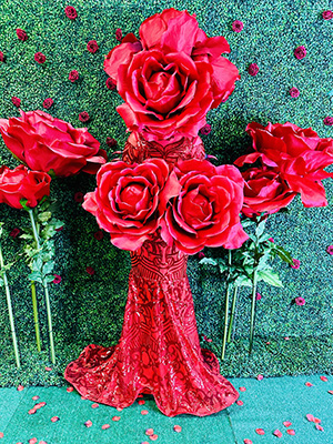 Red Rose Costume Characters