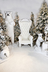 Winter Wonderland