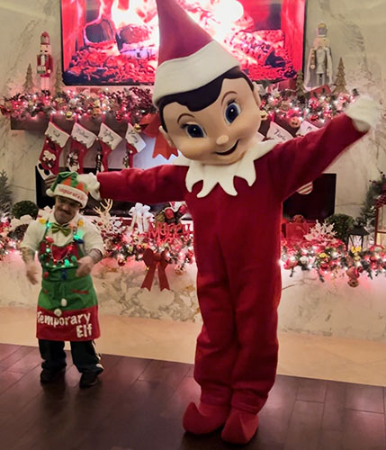 Elf Mascot Character