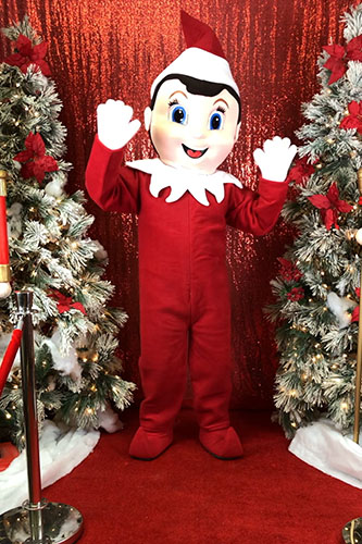 Elf Mascot Character