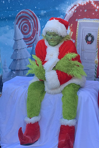 Grinch #2