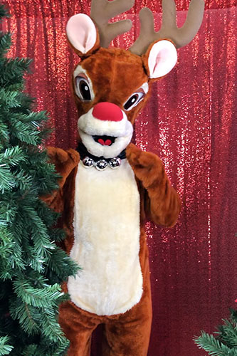 Reindeer Mascot Character