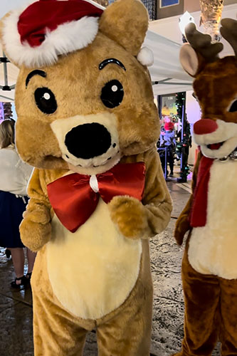 Teddy Bear Mascot Character